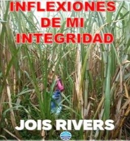Obra destacada 2